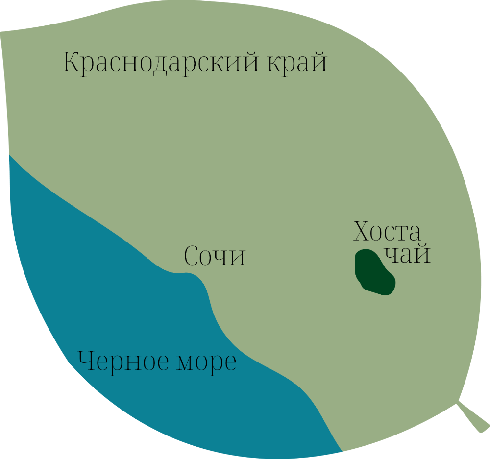 map illustration
